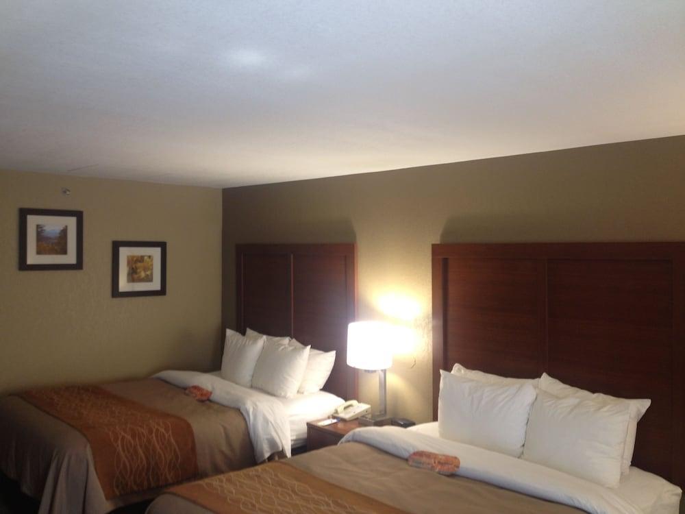 Comfort Inn Biltmore West Asheville Ngoại thất bức ảnh